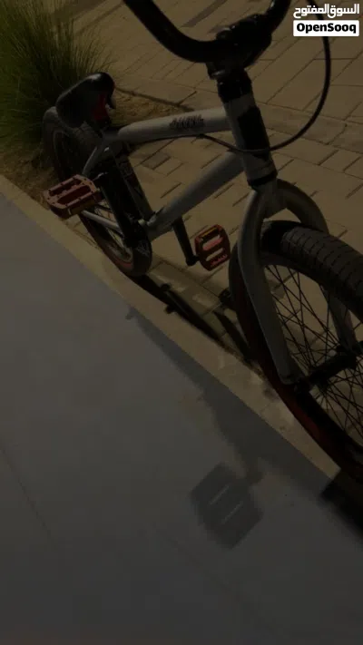 Dk raven Bmx everything is in good condition 4