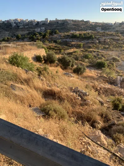 فرصة لا تتكرر - أرض للبيع في تفوح / سطاس 3