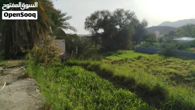 مزرعه للبيع 2