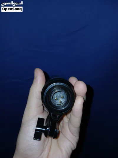 rscarlett microphone 2