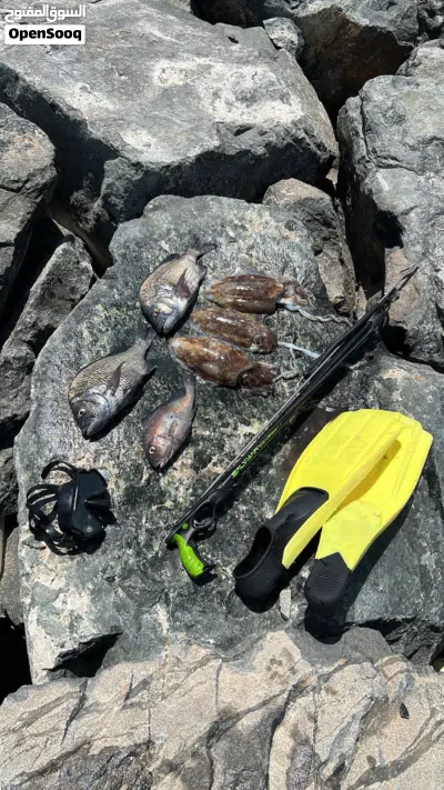 Spear Fishing مع صناره 3 متر 2