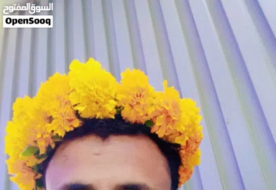 ورد قطيفه ملون 2