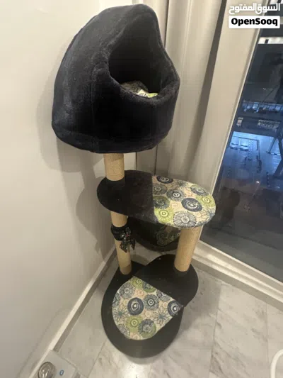 Pets accessories 2