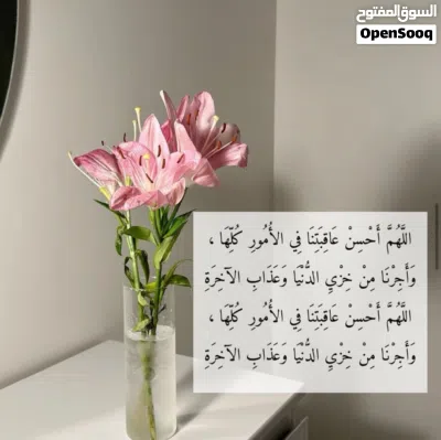 undefined 3