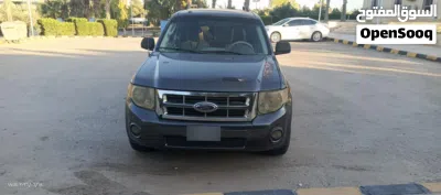 Ford Escape Standard 3
