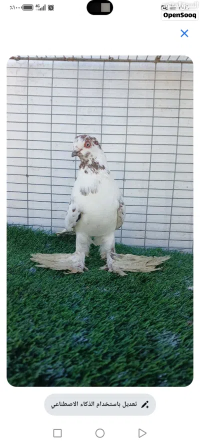 undefined 2