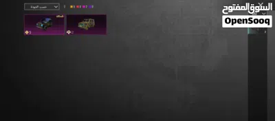 حساب ببجي لل بيع 3