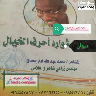 ركشة وتكتوك 4