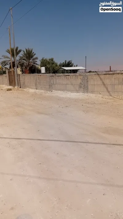 ارض للبيع في اريحا 3