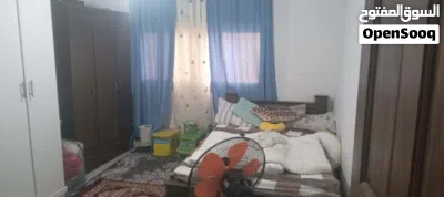 شقة مفروشة 3