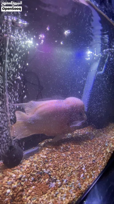 undefined 3