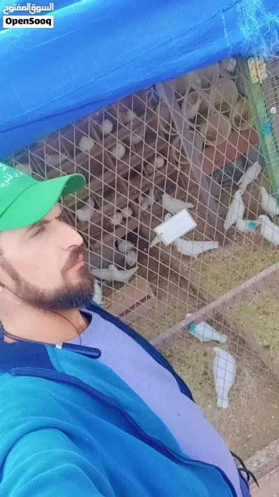 حمام فرنسي 4