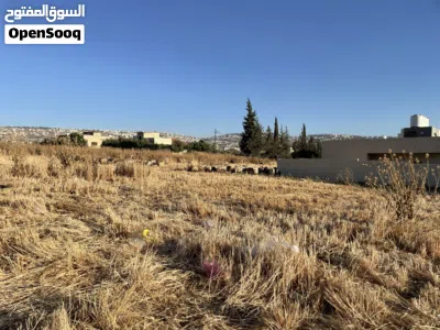 قطعة أرض مميزة بأجمل مناطق عين الباشا بسعر مميز 3