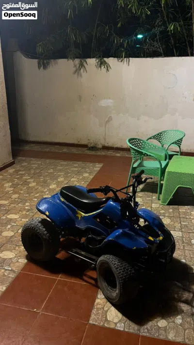 Suzuki Other 2