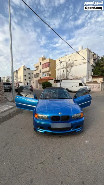 BMW 3 Series 318 2