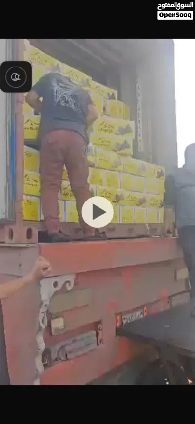 الان حاويه فحم تم استيرادها من مصر 3