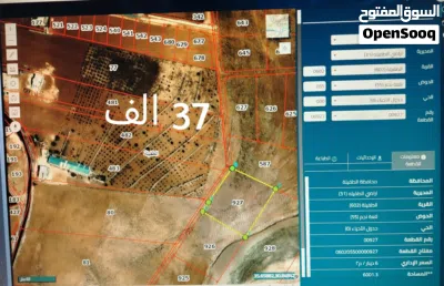 ارضي بأسعار ممتازة و مغرية للبيع في محافظة الطفيلة من المالك مباشرة بأسعار رخيصة جدآ جدآ 3