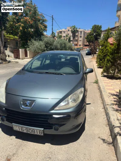 Peugeot 307 Standard 3