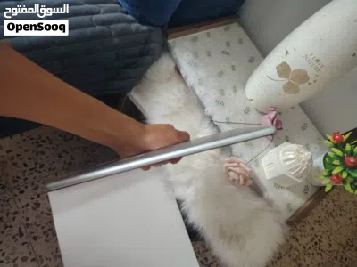 ايباد ابل الجيل الخامس بحاجه ل شاشة 4