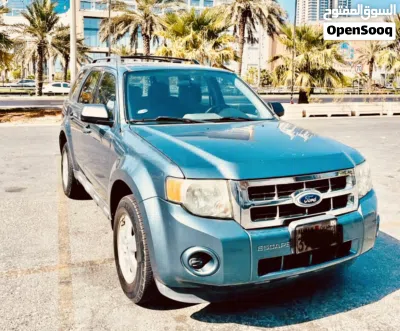 Ford Escape Standard 2