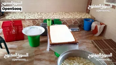 undefined 4