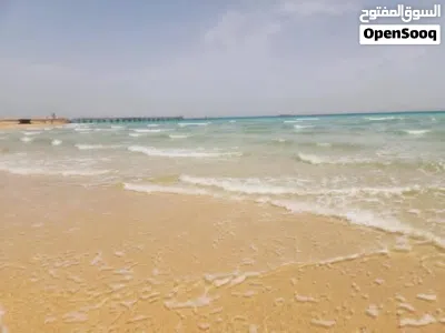 شاليه للايجار أسر فقط، لاسرينا ميني ايجبت، العين السخنة 4
