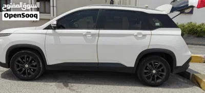 Chevrolet Captiva LS 2