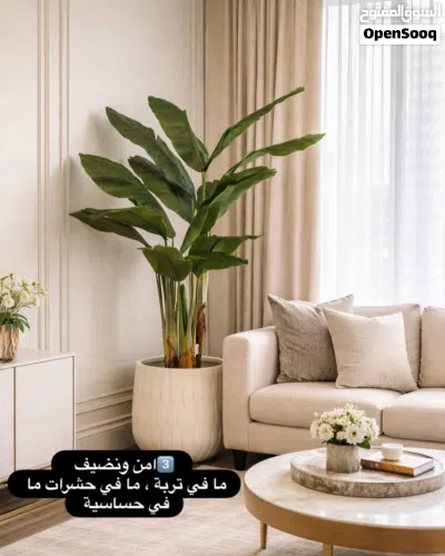 اشجار صناعية وقوارير اكتر من موديل وحجم وباسعار منافسة 4