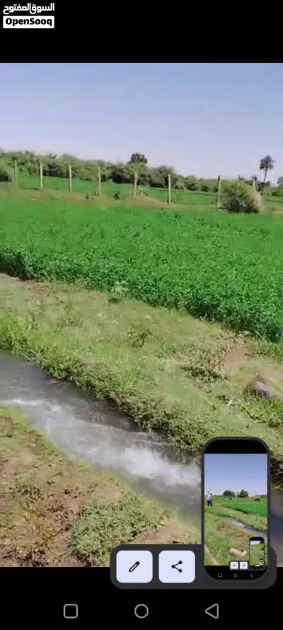 مزرعه للبيع 2