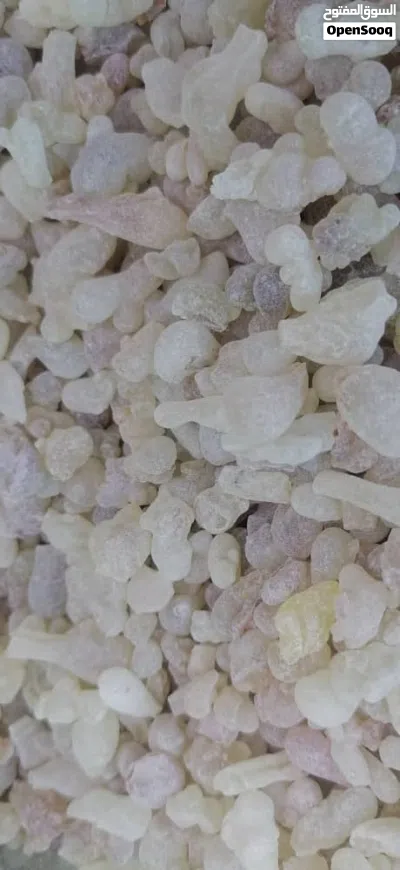 لبان بخور حوجري ممتاز.. درجه اولي وسعر مناسب.. وكذالك لبان دكر للعلاج والاكل والشرب.. بسعر ممتاز 2