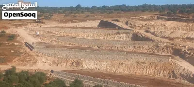 جك وجرافة وقلاب للايجار 3