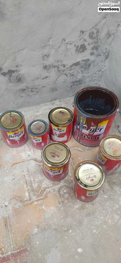 House painter and maintenance service with good work everyday House piant service with Normale pric 4