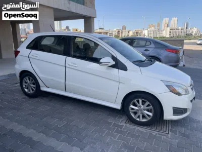 BAIC Other 2