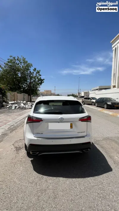 Lexus NX NX 250 4