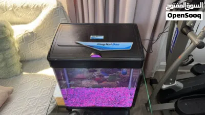 حوض سمك Aquarium 4