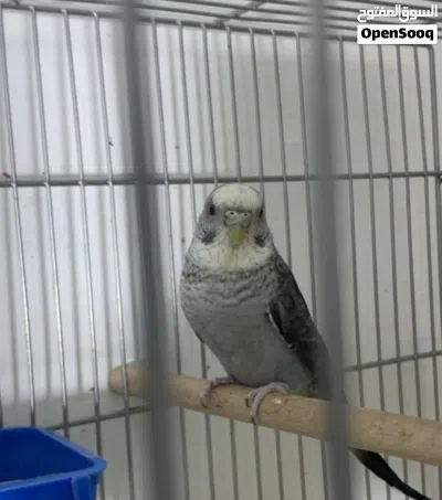 undefined 2