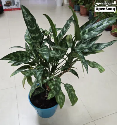 undefined 3