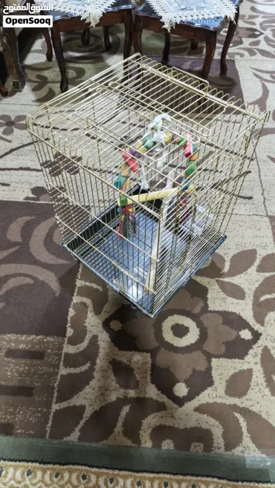 قفص ببغاء ذهبي مقاوم للصداء مع مرجيحه كبيره و معالفه للبيع و ليس للبدل إقرأ التفاصيل 3