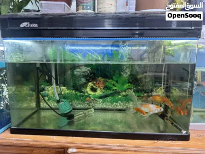 Aquarium for sale 2