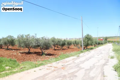 مادبا الفيحاء حوض الجازل 4 دونم بجانب التنظيم مباشرة ارض زراعية سكنية مميزة بمنطقة فلل 2