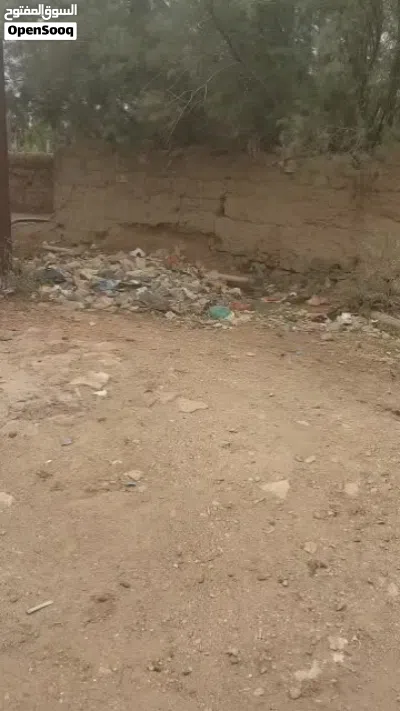 مساحة الارض 13.50 ثلاثة عشر لبنة ونص على خط دار الحجر قريب الزفلت في جدر وقريب دار الحجر أرض مسورة 4