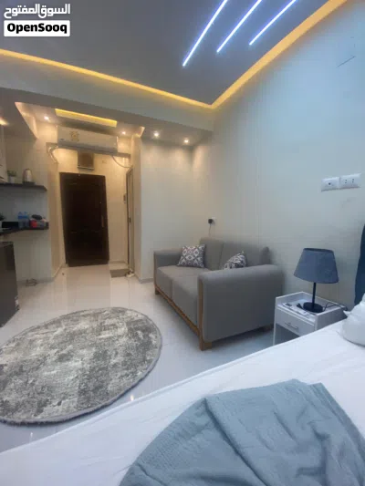ستوديو مفروش بالمهندسين 4