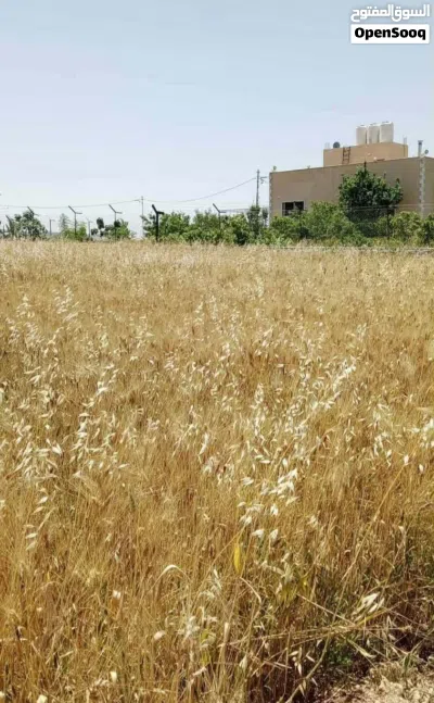 ارض مميزه المزرعه او للسكن 2