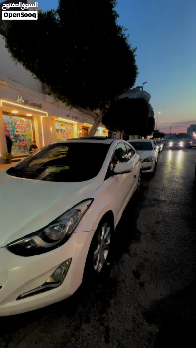 Hyundai Elantra Sport 2