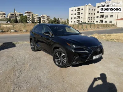 Lexus NX NX 300 3