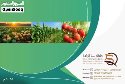 معالج الملوحة ويباس الاشجار الاقوى والاضمن زيوسبأ 4