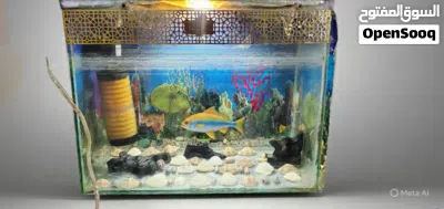 undefined 2