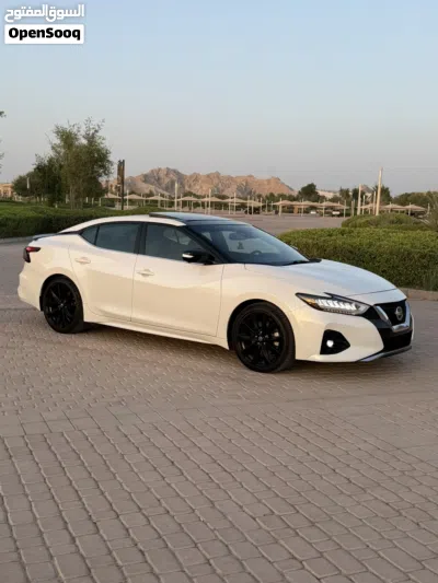 Nissan Maxima SR1 2