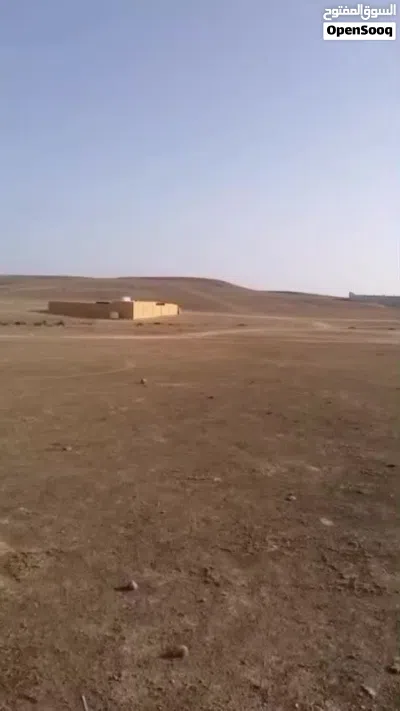 عدونب مربع ها 3
