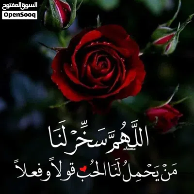 مطلوب- اريد شقه نظيفه غرفتين ومطبخ وحمام في هايل الرقاص او الزراعه 4